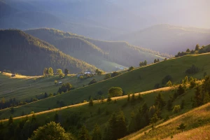 Dom i ogród - jak stworzyć harmonijne połączenie wnętrza z przestrzenią zewnętrzną?