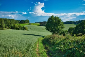 Lampki na dom świąteczne – jak stworzyć magiczną atmosferę w Twoim domu